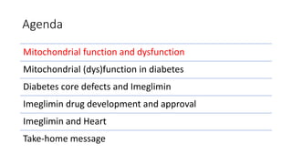 Agenda
Mitochondrial function and dysfunction
Mitochondrial (dys)function in diabetes
Diabetes core defects and Imeglimin
Imeglimin drug development and approval
Imeglimin and Heart
Take-home message
 