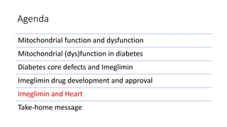 Agenda
Mitochondrial function and dysfunction
Mitochondrial (dys)function in diabetes
Diabetes core defects and Imeglimin
Imeglimin drug development and approval
Imeglimin and Heart
Take-home message
 