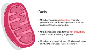 Facts
• Mitochondrion is an intracellular organelle
present in most of the eukaryotic cells. One cell
contains 100s of mitochondria.
• Mitochondria are important for ATP production,
which is vital for all living organisms.
• Mitochondria have their own DNA (several copies
of mtDNA), with poor repair mechansim
 