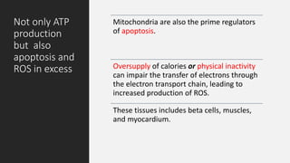 Not only ATP
production
but also
apoptosis and
ROS in excess
Mitochondria are also the prime regulators
of apoptosis.
Oversupply of calories or physical inactivity
can impair the transfer of electrons through
the electron transport chain, leading to
increased production of ROS.
These tissues includes beta cells, muscles,
and myocardium.
 