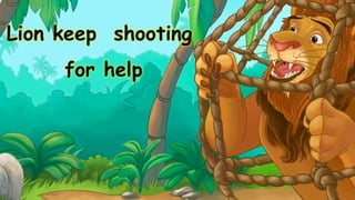 Lion keep shooting
for help