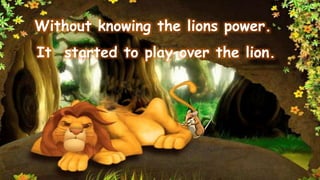 Without knowing the lions power.
It started to play over the lion.