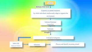 jean piaget basic cognitive concepts