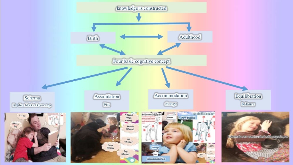Basic cognitive concepts Clearance