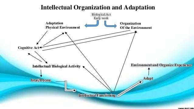 Basic Cognitive Concepts 2025