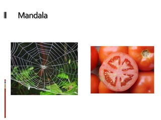 Mandala
Estamos rodeados por mandalas
 