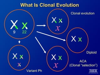 What Is Clonal Evolution
                           Clonal evolution

                      Xx
Xx
9       22
                      x
                            Xx
                                       Diploid
Xx                    Xx
                      x
                                 ACA
    x                      (Clonal “selection”)
         Variant Ph
 