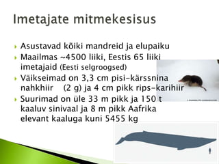    Asustavad kõiki mandreid ja elupaiku
   Maailmas ~4500 liiki, Eestis 65 liiki
    imetajaid (Eesti selgroogsed)
   Väikseimad on 3,3 cm pisi-kärssnina
    nahkhiir (2 g) ja 4 cm pikk rips-karihiir
   Suurimad on üle 33 m pikk ja 150 t
    kaaluv sinivaal ja 8 m pikk Aafrika
    elevant kaaluga kuni 5455 kg
 