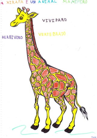 r   ulv   A I,lI tt A l-



                            VDVI       PARS



H   IRBI VORO
 