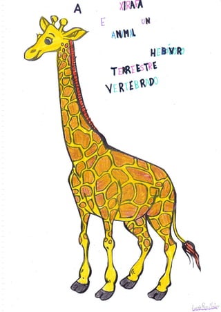 A      X|KArA
                rJt{

     qt{'ttnL

                       HrF¡b,*m

     TffiEE51RÉ
    rúrR1   twn'lü
 