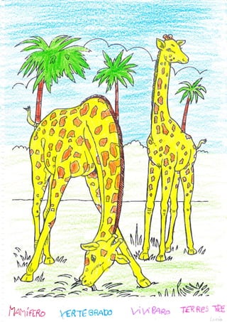 $#,f




fv1   .,o   t
J lÉIl"1¡       iln:,
 