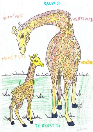 s.&rv& 5s


                                         d*-"r¿ry,   bf?"rqg




           -t*

           w
           t,    $;




j,*-**ú*




                      Tffi weffiS€ía"m
 