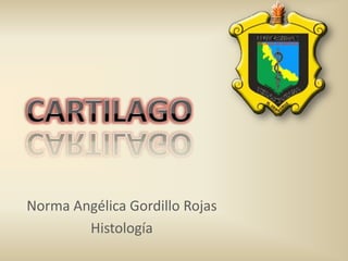 Norma Angélica Gordillo Rojas
Histología

 