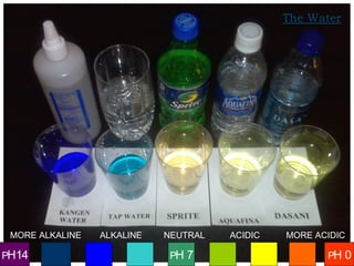 Header Text
PH 0PH 7PH14
NEUTRAL ACIDICALKALINE MORE ACIDICMORE ALKALINE
 