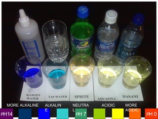 Header Text
PH 0PH 7PH14
NEUTRA
L
ACIDICALKALIN
E
MORE
ACIDIC
MORE ALKALINE
 