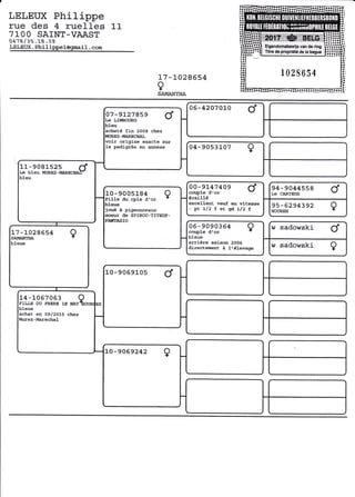 LELETIX Philippe
rue des 4 ruel les 1- 1-
71OO SAINT-VAAST
0418 /35 .1S .39
LELEIIX. Phil ippel@gmail . com
3_7 -AA28654
ç
SÀIVTAMTHA
06-420?0L0 d0?-9L27859 dLe tÎlltBOûRG
bleu
acheté fin 2008 chez
MÛREZ*MARECIIAT.
voir origine exacte sur
1e pedigrée en annexe 04-90s3L0? ç
1L-9081_s2s rtLe bleu }ÎURSZ-MAREGIAr
bleu
û0-914?409 dcouple d'or
écai11é
excellent veul en viteeee
-Ett/2Êer,gd1/2f
e4-e044ss8 dLe CAR?EIISr.0-s00s184 çÊ'ille du cple d'or
b].eue
joué à pigeonaeaux
soeur de SPIROû-TIrHIF-
FâHTASTO
e5-62e43e2 çIIOIIBEIf
06-9û90364 ?couple dtor
bleue
arrière saisort 2OO5
directemeJlt à l.éle'agê
r^' sadowski Ct17*1028554 çSAMAÀTHA
bleue w sadowski ?
L0-e06e10s d
14-L067063 oFrLrrE DU FRSRB i.E NarÈoue
bleue
achaË en 09/2015 chez
ldurez-marechal
ao-e06e242 ç
 