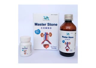 master stone combo.pdf
