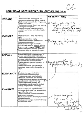 e5 Ultranet PD Observations - Assessment