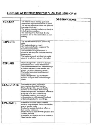 e5 Ultranet PD Observations - Assessment