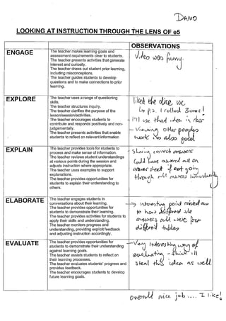 e5 Ultranet PD Observations - Assessment