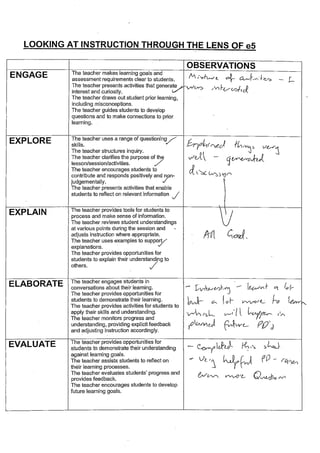 e5 Ultranet PD Observations - Assessment