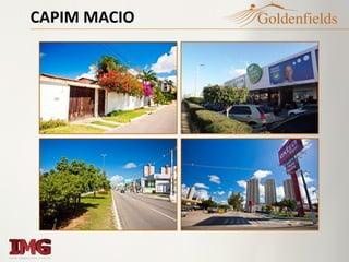 CAPIM MACIO
 