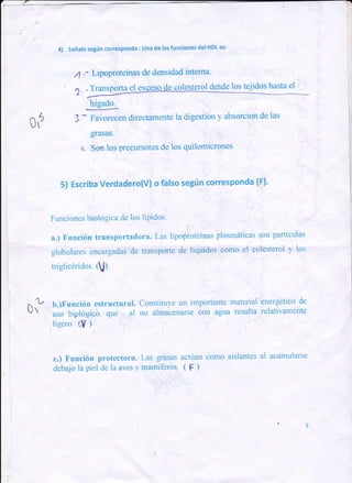 4) §eñale segrln eorresponda : [Jna de las fumeiones del FlsL *s:

4 .'
"r

-

Lipoproteinas de densidad intema'
Transporta el exgeso de

coteste

idos hasta el

hígado.

0

á

J

-

Favorecen directamente la digestion y absorcion de las
grasas.

4. Son los precursores de los quilomicrones'

5! Escriba verdadero{1,} o false §e§ún eorrespcnda {F}.

Funciones bío}ógiea de los lípi<los.

a.) Fuaeión tramsparÉad*r"*. Leis lipcpicteínas plasrnáticas san partic*las
gl*bulares erleargatlas ele transport* de liqúic*os *om* el *olesterol y l$s
triglic.éridús (V)

1-' b,)Eru¡teiór¡ estructur*l.
l 
url biplégico. que ai
N

Ci:nstitu3;'e Bfl imp*rtantc n:at*riat energétic* d*
r:* alntacenarse c*r} egua r*sülta relativan:er:lte

ligero. {-Y )

*") Farmeión pr*t*e{qlr"*, [,as grasa§ ac'tueil *$ffr$ aisl*.nt*s al
dcbaja la piei cl* la ¿lves y ma¡nileros.

( F')

acusttll¿rrse

 