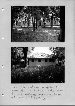 My Time In Romania - Alan Ev