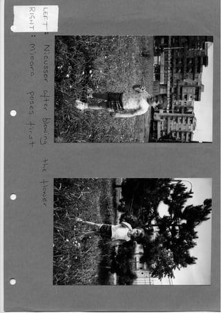 My Time In Romania - Alan Ev