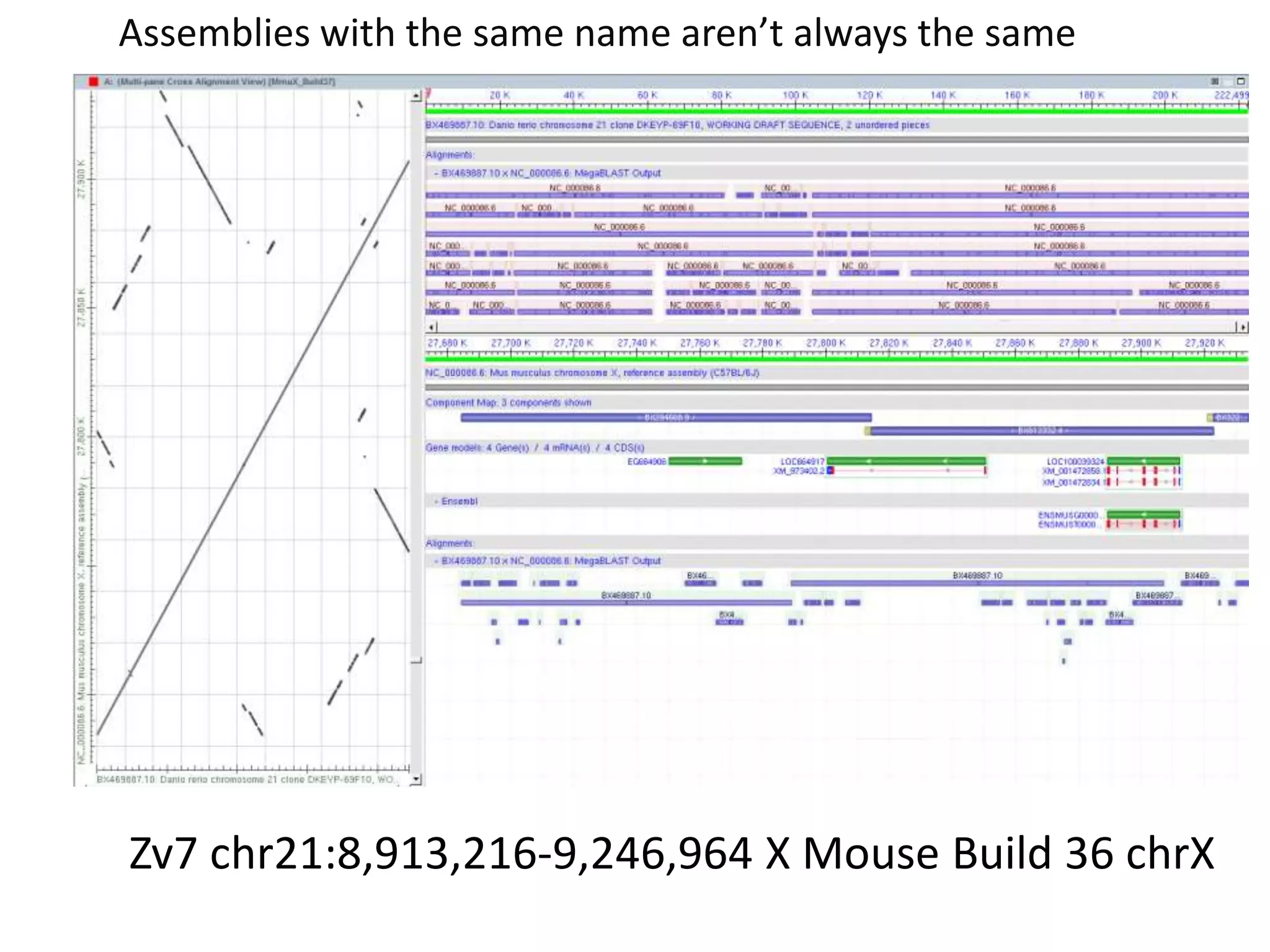 Assemblies with the same name aren’t always the sameZv7 chr21:8,913,216-9,246,964 X Mouse Build 36 chrX