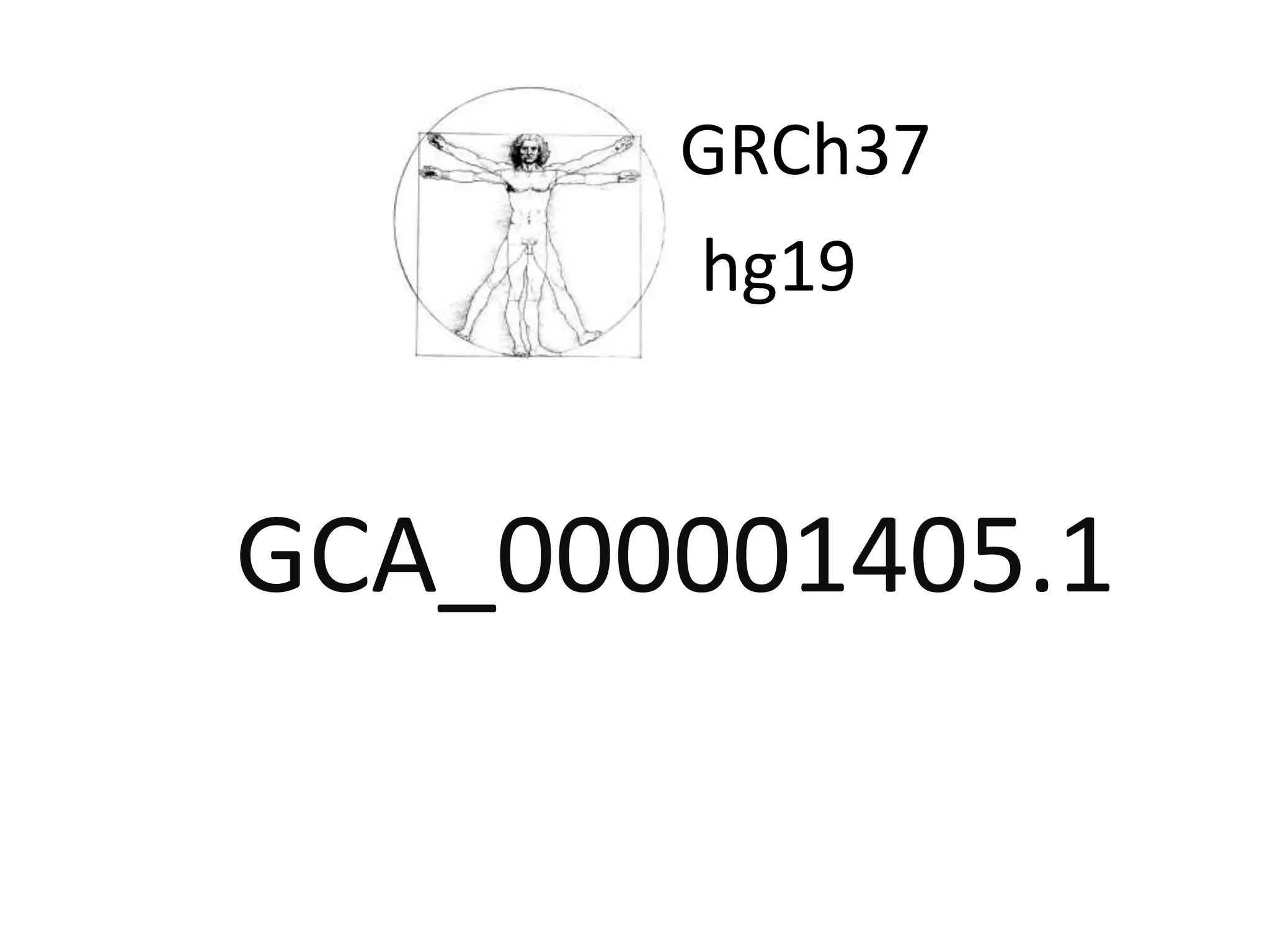 GRCh37hg19GCA_000001405.1