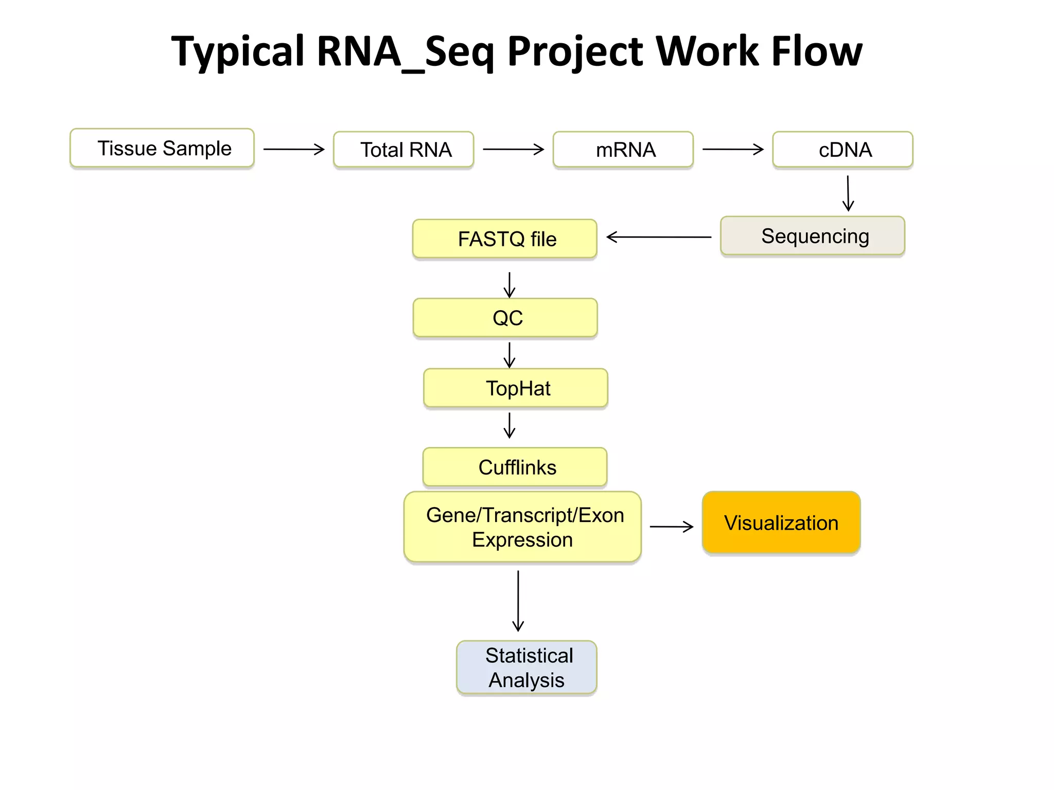 Typical RNA_Seq Project Work Flow Tissue SampleTotal RNAmRNAcDNA Sequencing FASTQ fileQCTopHatCufflinksGene/Transcript/Exon ExpressionVisualizationStatistical AnalysisJAX Computational Sciences Service