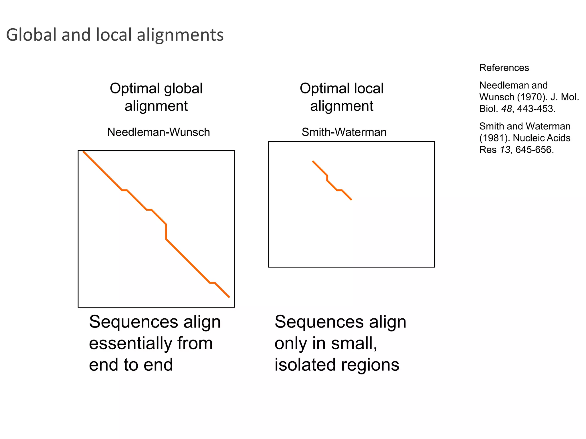 Optimal global alignmentOptimal local alignmentNeedleman-WunschSmith-WatermanSequences align essentially from end to endSequences align only in small, isolated regionsGlobal and local alignmentsReferencesNeedleman and Wunsch (1970). J. Mol. Biol. 48, 443-453.Smith and Waterman (1981). Nucleic Acids Res 13, 645-656.