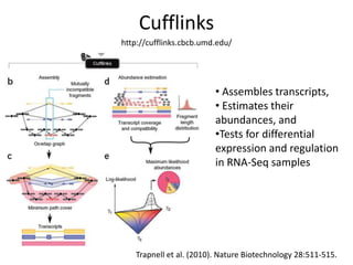 Cufflinkshttp://cufflinks.cbcb.umd.edu/ Assembles transcripts,