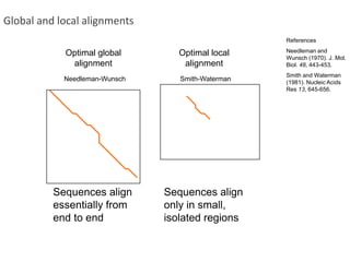 Optimal global alignmentOptimal local alignmentNeedleman-WunschSmith-WatermanSequences align essentially from end to endSequences align only in small, isolated regionsGlobal and local alignmentsReferencesNeedleman and Wunsch (1970). J. Mol. Biol. 48, 443-453.Smith and Waterman (1981). Nucleic Acids Res 13, 645-656.