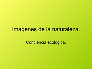 Imágenes de la naturaleza. Conciencia ecológica. 