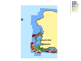 Puerto Real Boquerón 