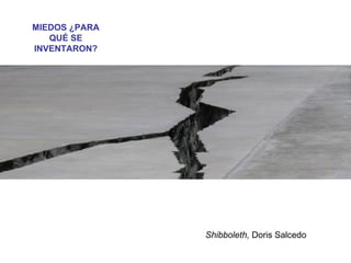 Shibboleth, Doris Salcedo
MIEDOS ¿PARA
QUÉ SE
INVENTARON?
 