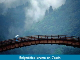 Enigmática bruma en Japón 