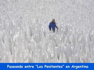 Paseando entre “Los Penitentes” en Argentina 