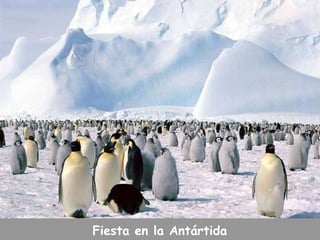 Fiesta en la Antártida 
