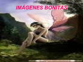 IMÁGENES BONITAS 