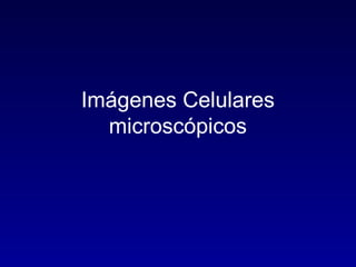 Imágenes Celulares
microscópicos
 