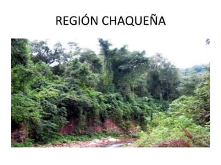 REGIÓN CHAQUEÑA