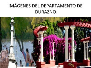 IMÁGENES DEL DEPARTAMENTO DE
          DURAZNO
 