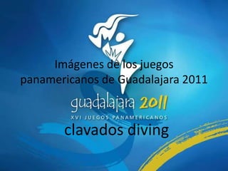 Imágenes de los juegos
panamericanos de Guadalajara 2011



       clavados diving
 