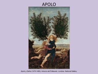 APOLO Apolo y Dafne  (1470-1480) .  Antonio del Pollaiuolo. Londres. National Gallery. 