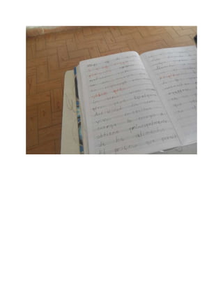 Imágenes de posibles casos de digrafía