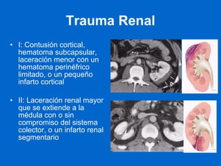 Embolización de lesiones postraumáticas vasculares renales. 