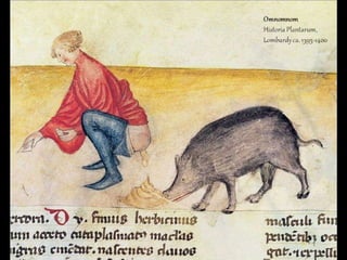 Imágenes medievales